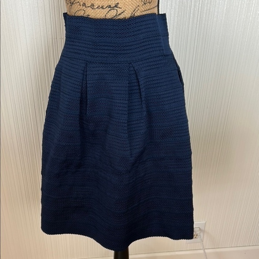 7th Avenue Chic Navy A-Line Women's Skirt